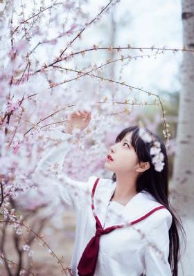 啊啊啊快高潮了男女网站_1080在线观看高清